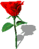 różowy GIF