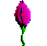różowy GIF